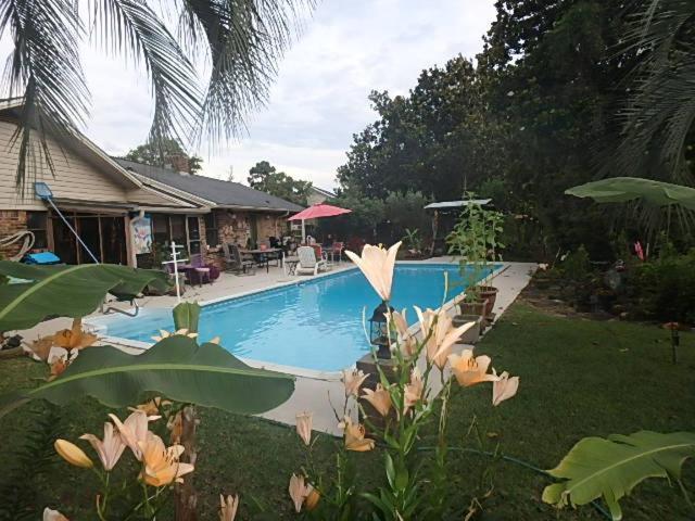 Poolside Paradise Наваре Екстериор снимка